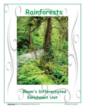 Rainforest Unit