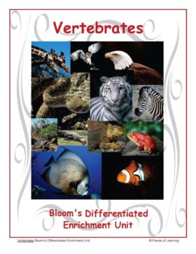Vertebrates Unit