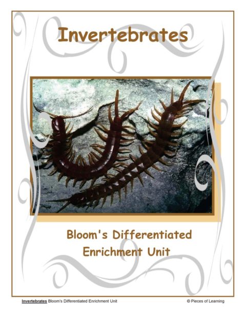 Invertebrates Unit