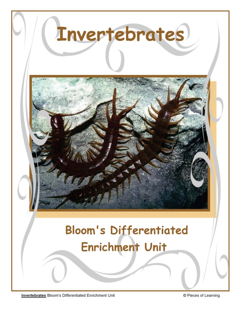 Invertebrates Unit
