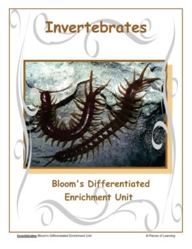 Go Green Unit - Invertebrates